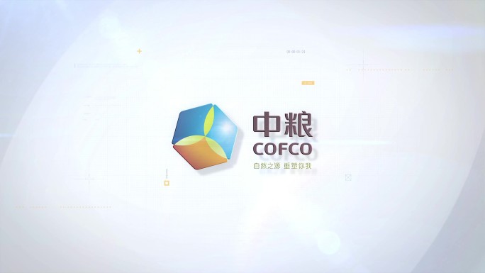 片头大气LOGO 无插件