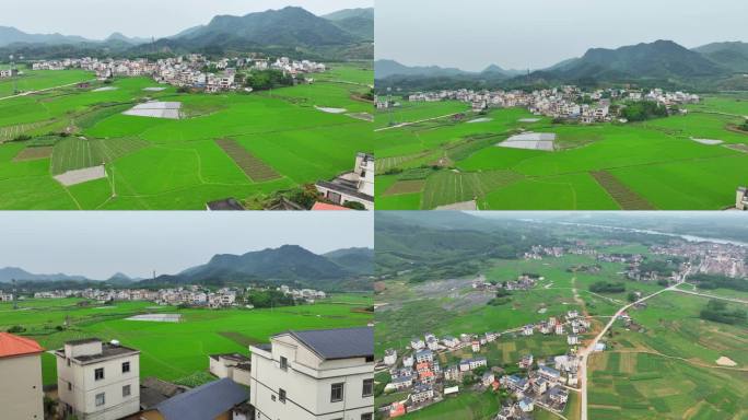 坐观光车上大龙湖