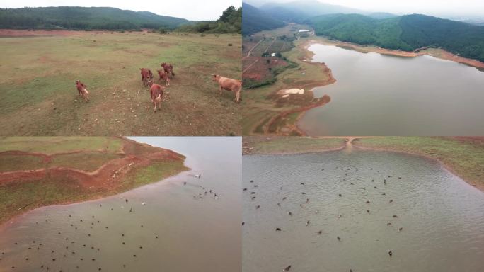 航拍江西安福县洲湖镇跃进水库（水渠）