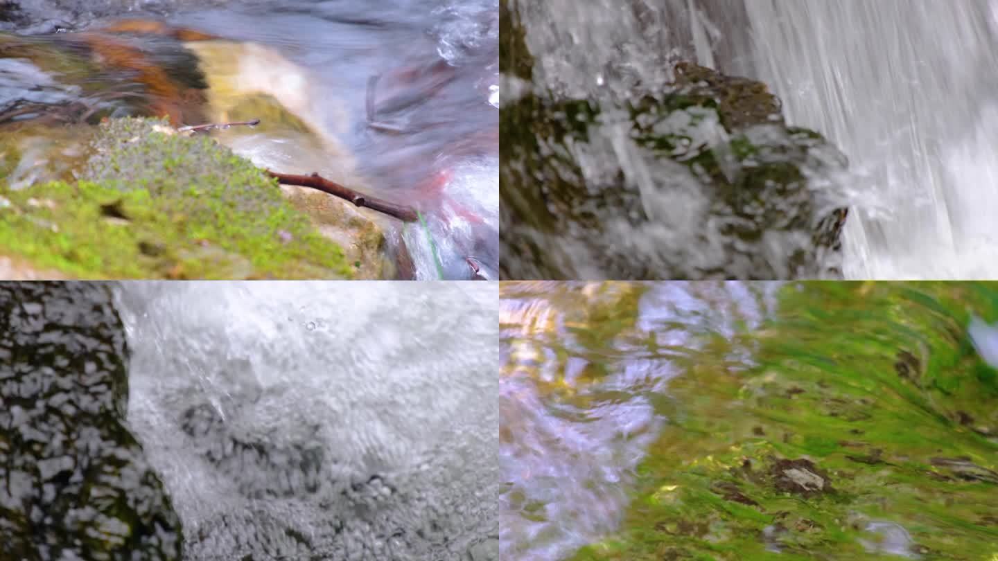 杭州植物园小溪流水风景视频素材490