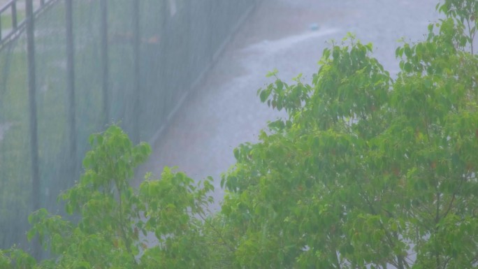 城市下暴雨倾盆大雨下雨天雨水雨滴植物树叶