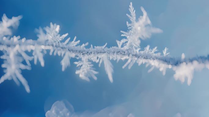 吉林雾凇冬天雪景雾凇寒冬寒冷冬季冰天雪地