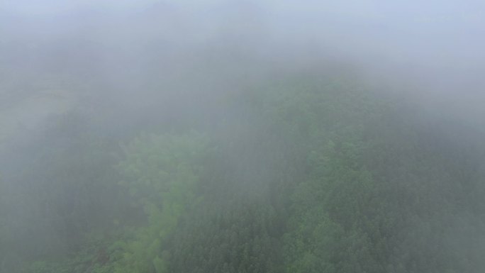 航拍云雾中的森林