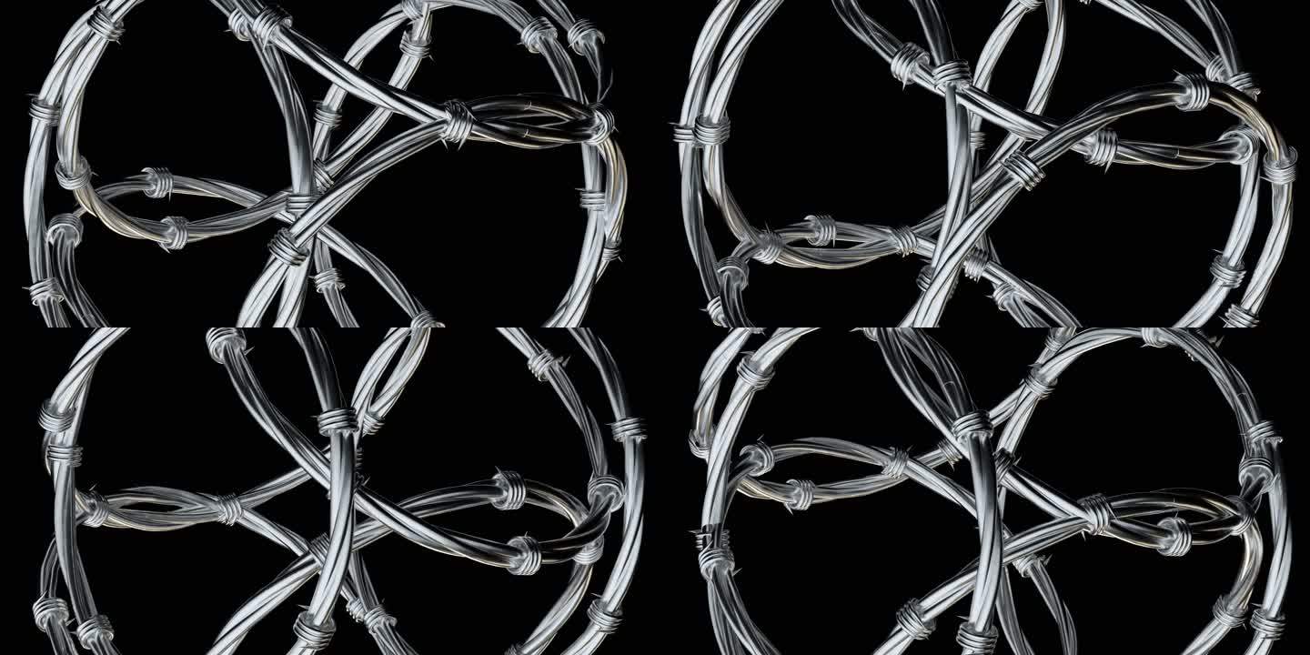 带刺铁圆环丝网 透明通道循环