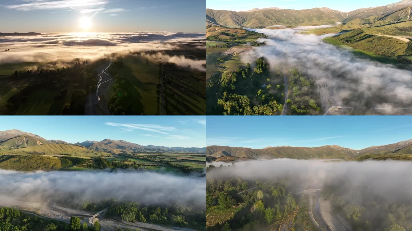 新西兰迷雾