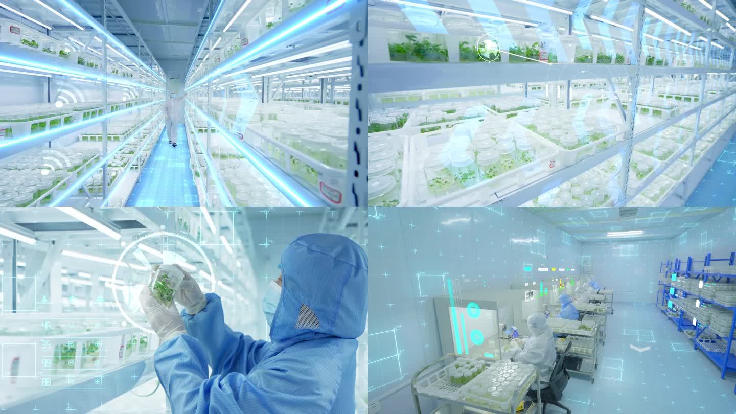 科研人员草莓育苗实验室科技元素