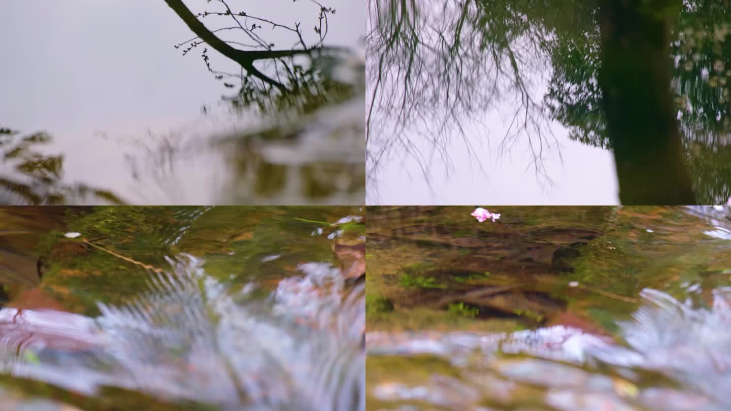 城市公园小溪流水倒影特写风景视频素材
