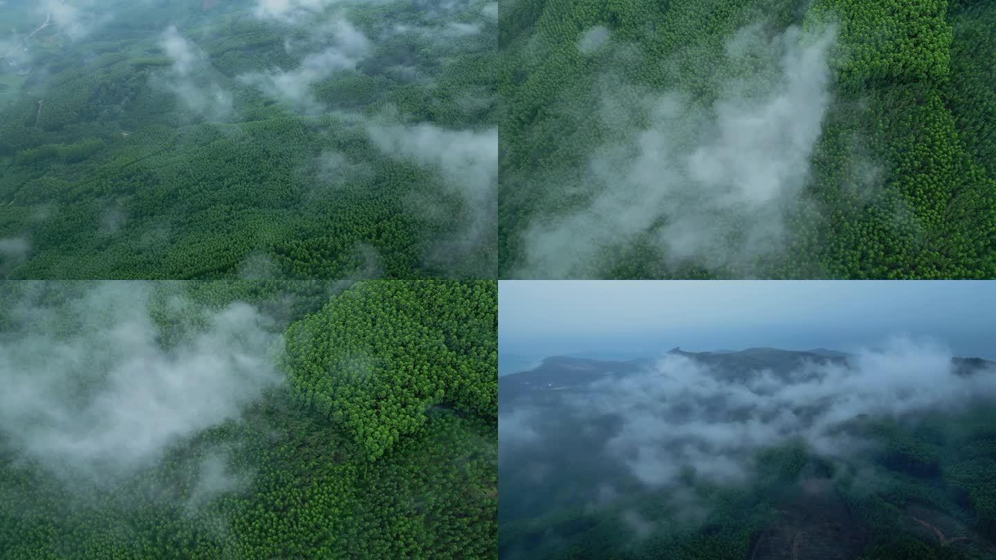 航拍森林森林绿树云雾缭绕雨后山林