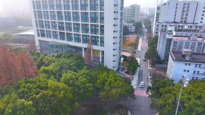 上海杨浦区同济大学本部航拍校园风景风光素