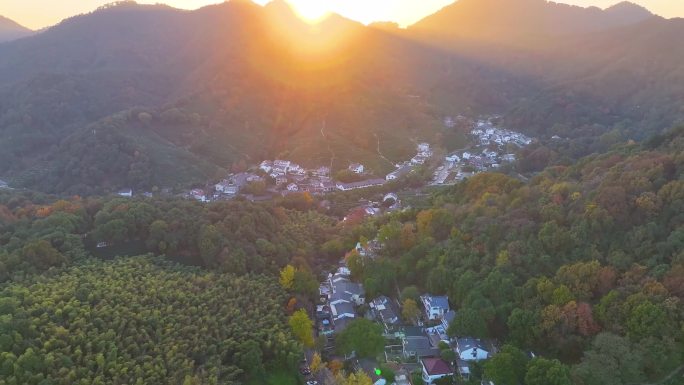 唯美杭州西湖龙井茶文化景区航拍茶园地茶叶