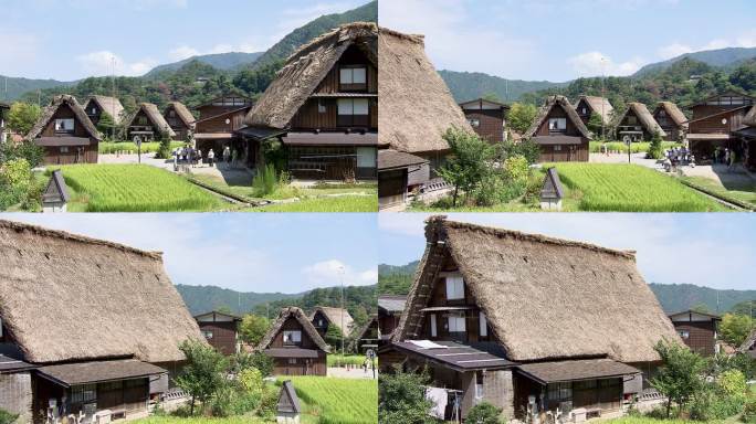 日本白川村的茅草屋顶房屋