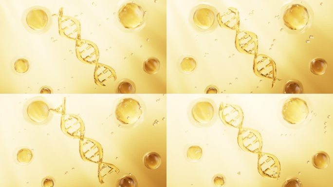 旋转的金色DNA 和细胞结构生物念视频