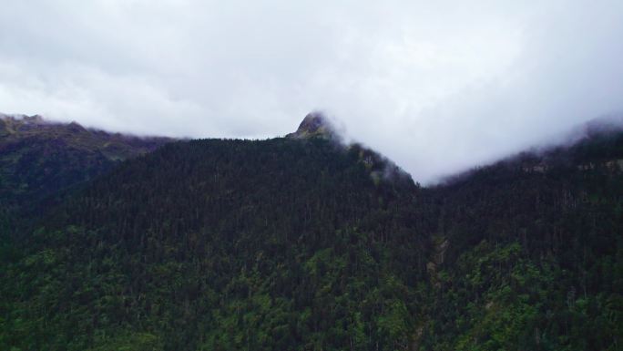 云雾里的山峰