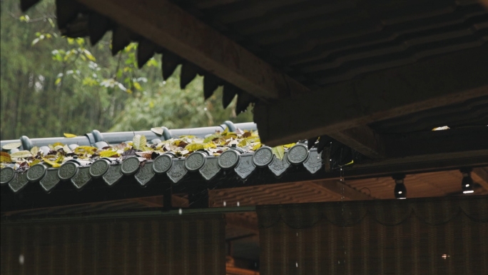 唯美屋檐下雨空镜意境 武侠古风