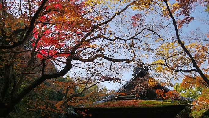 日本京都的风景