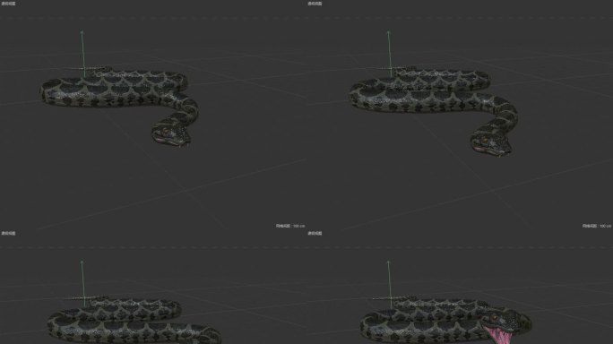 蟒蛇攻击撕咬动作C4D动画工程2