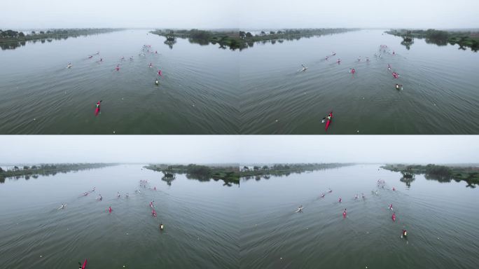 公园湖面静水多人皮划艇运动航拍4K