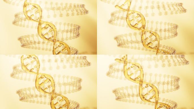 旋转的金色DNA生物科技概念视频