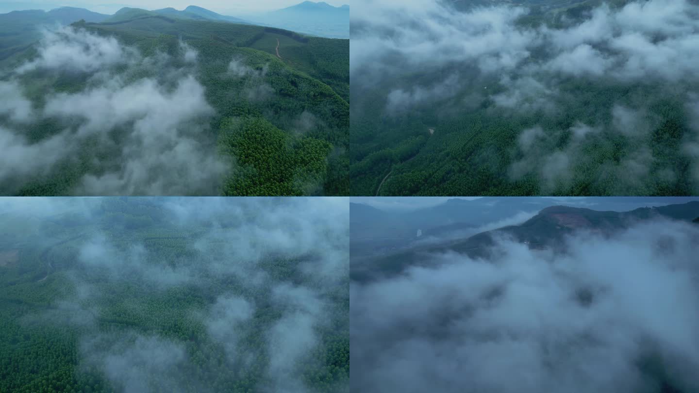 云雾山林航拍森林绿色风景云雾缭绕