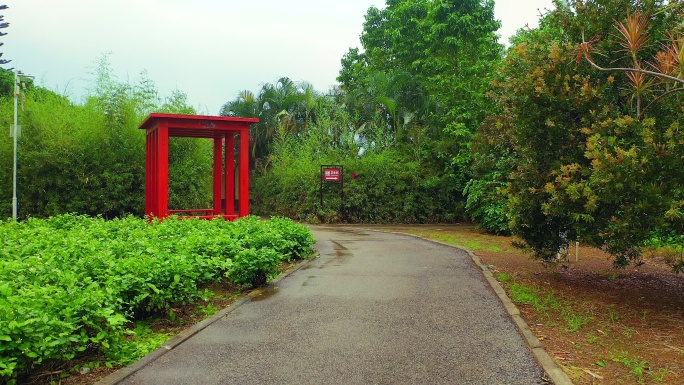 广西 横州中华茉莉园 茉莉花之都 公园