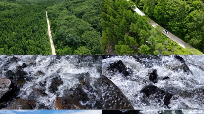 森林河流水流阳光汽车行驶在林间小路