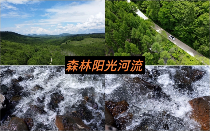 森林河流水流阳光汽车行驶在林间小路