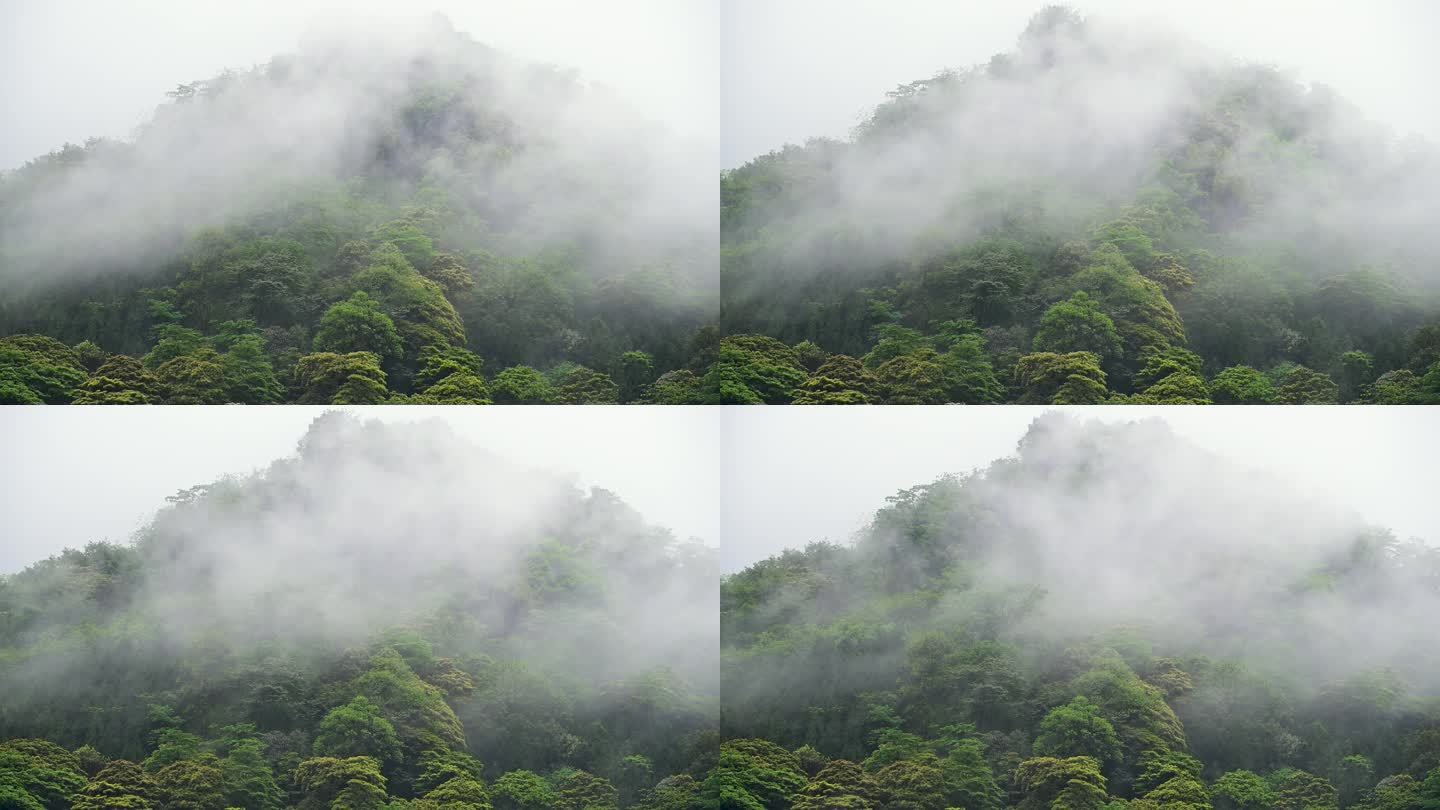 唯美青山延时摄影原始森林云雾蒸腾