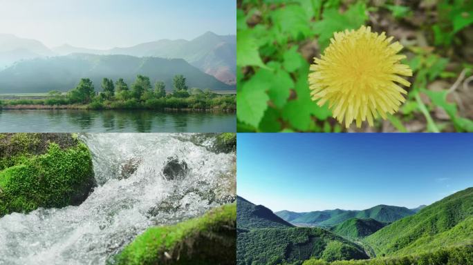 河水溪流山泉河流山水绿水青山蓝天白云蜗牛