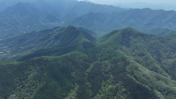 济南药乡森林公园