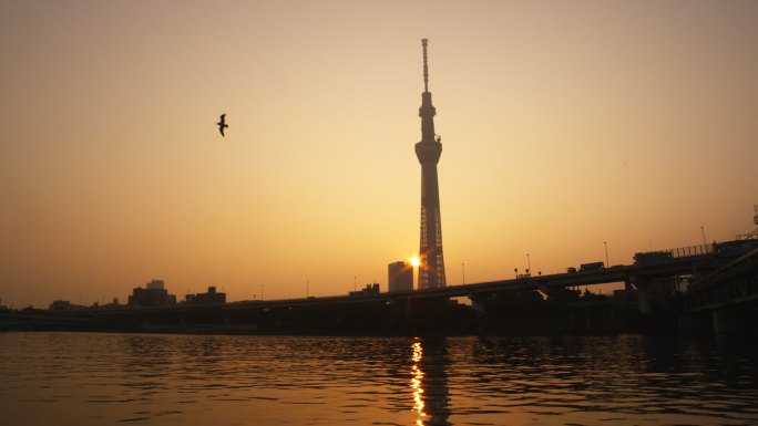 日本东京的东京天空树塔和隅田河