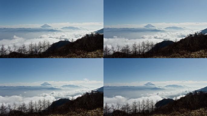 日本的富士山和云海