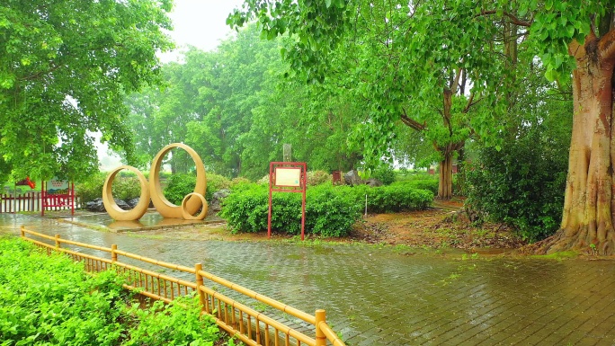 广西 横州中华茉莉园 公园 下雨