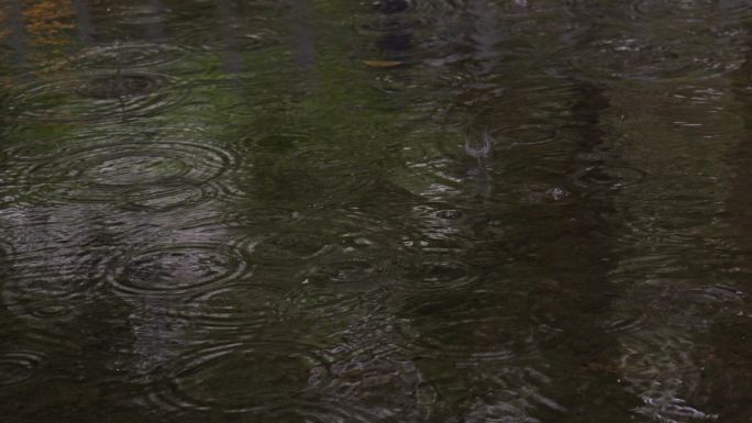 雨水滴落地面积水涟漪