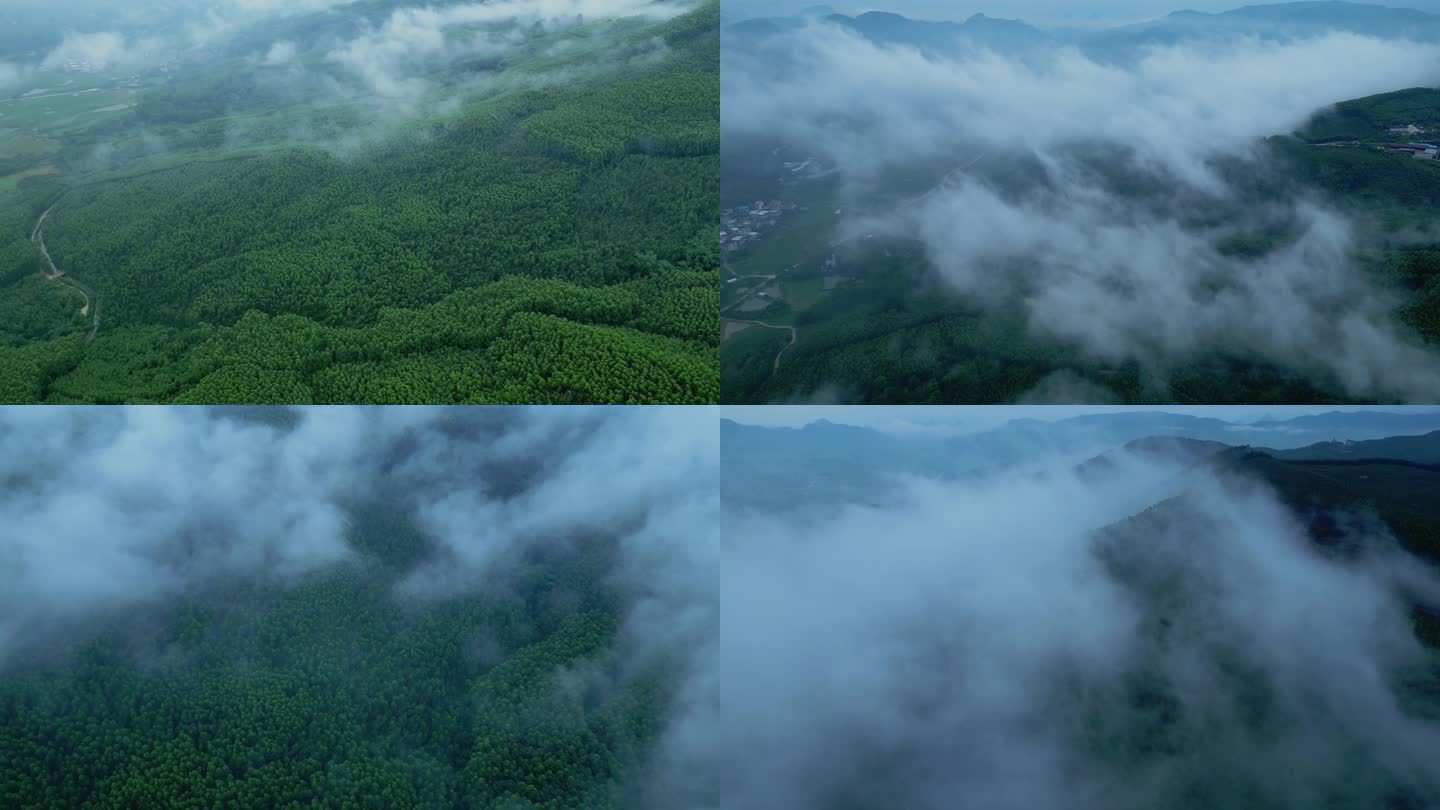 航拍云雾森林树林清晨雾景绿色自然风光