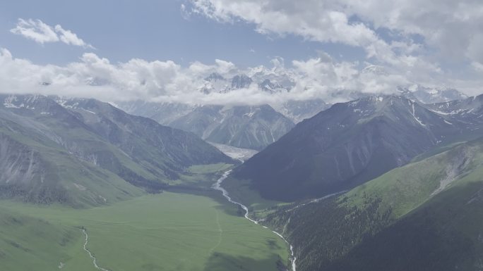 新疆伊犁夏塔草原林海天山冰川