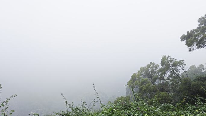 雨后起雾的白云山
