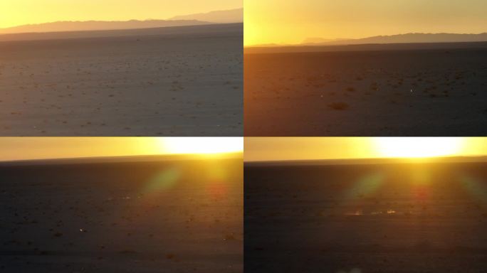 荒野 沙漠 戈壁 黄羊 羚羊 奔跑 追逐