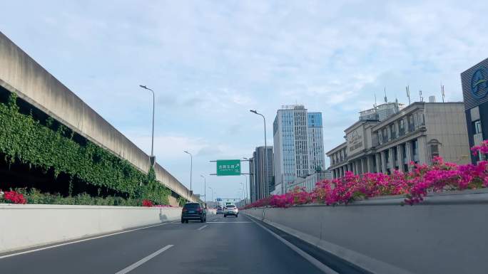 成都二环高架桥花玫瑰花行车视角成都街景