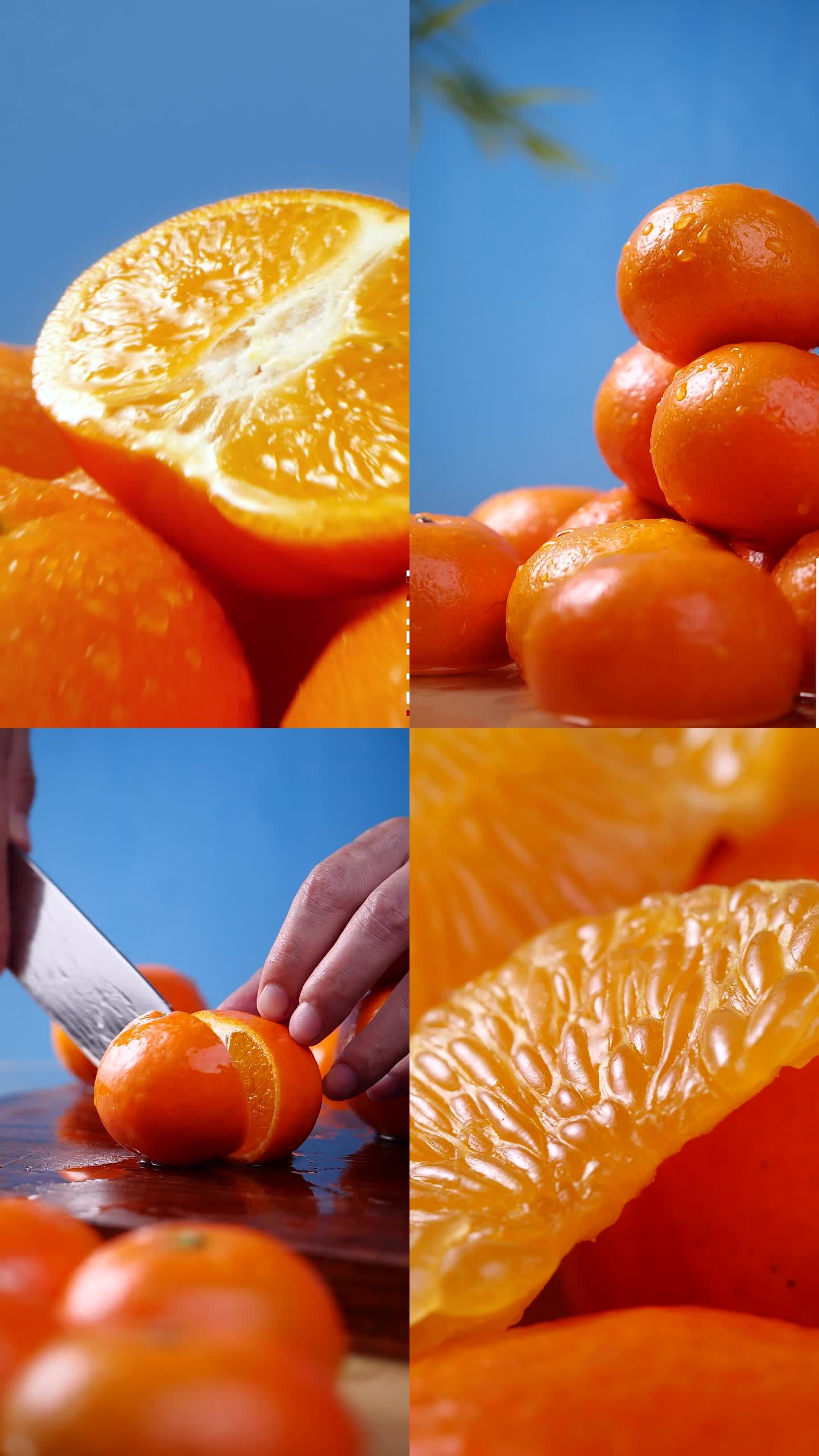 橘子 橙子