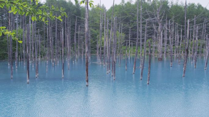 日本北海道Biei的Shirogane Blue Pond