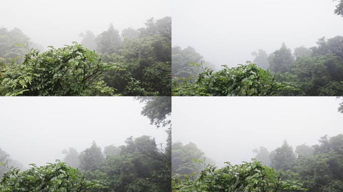 雨后的白云山起雾了