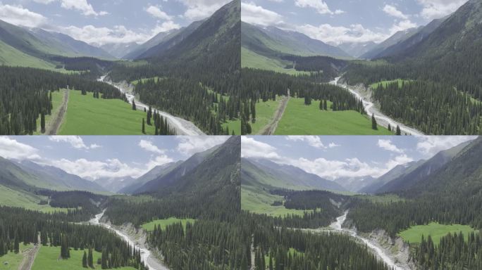 新疆伊犁夏塔草原林海天山冰川