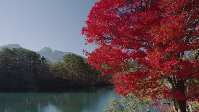 秋天的秋本湖