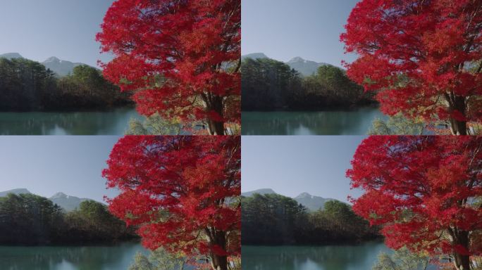 秋天的秋本湖