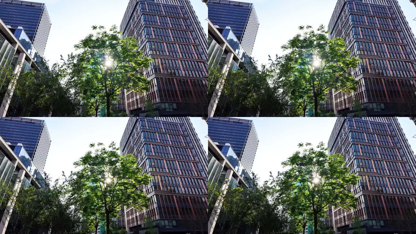 上海商务高楼大厦蓝天阳光逆光升格长镜头