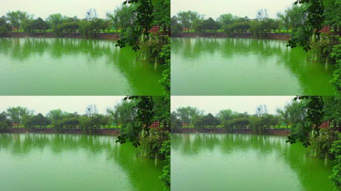 广西 横州中华茉莉园  公园 湖水