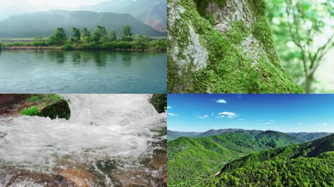 自然唯美流水绿水青山青苔泉水蜗牛大山阳光