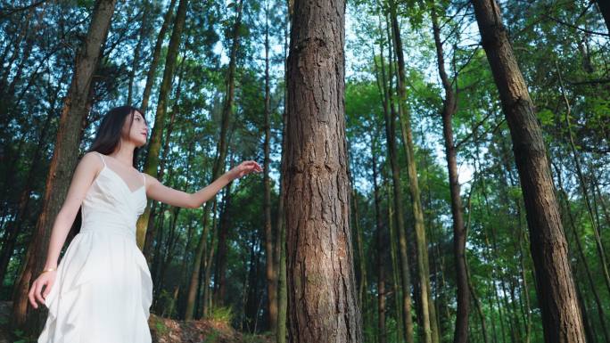 森林穿白色长裙的美女在森林行走低碳氧吧