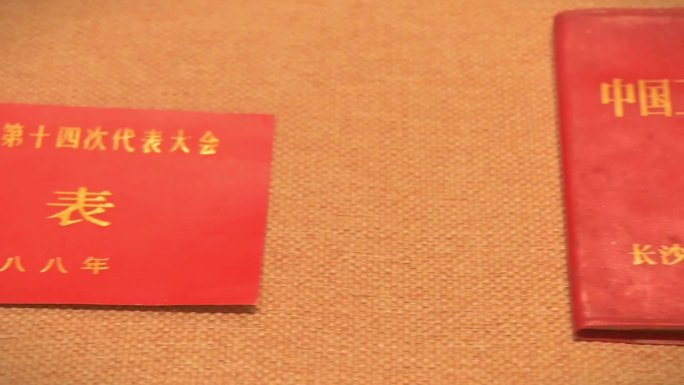 十四次代表大会代表证，中国工会章程
