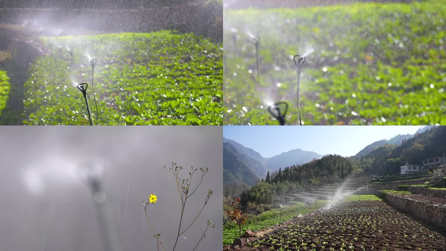 田地自动灌溉